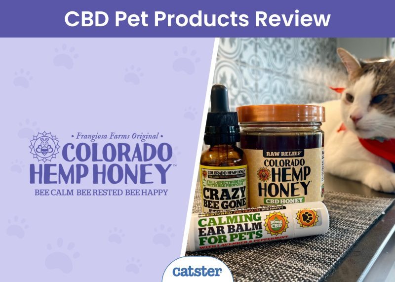 Colorado Hemp Honey Review 2024: A Detailed Look