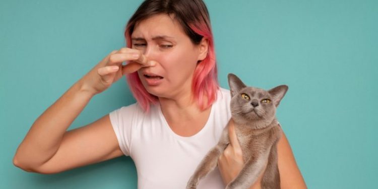 Why Do My Cats Farts Smell Like Eggs? Our Vet Explains
