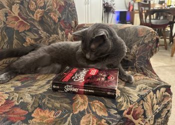How Movies and Television Portray Cats: Stereotypes & Olga’s Nature