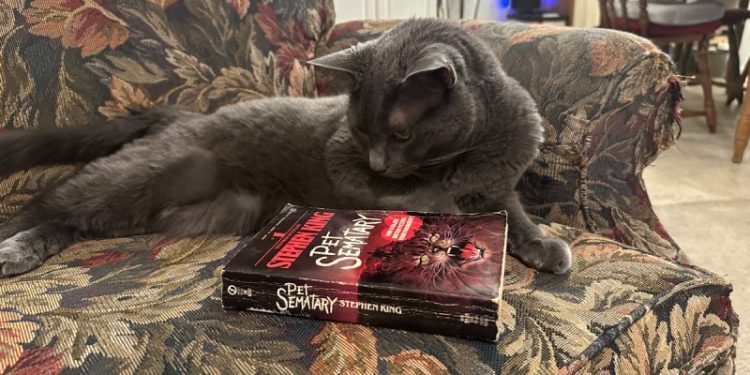 How Movies and Television Portray Cats: Stereotypes & Olga’s Nature