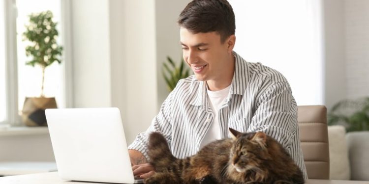 Pet Telehealth: How Does It Work for Your Cat? Vet Approved Facts & FAQ