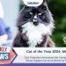 Celebrating Feline Heroes: Meet Marley, Cat of the Year 2024