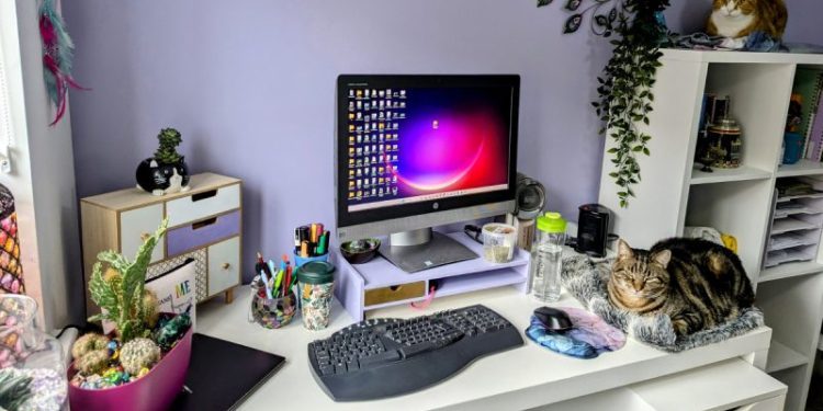 The Joys of Sharing My Office With Cats: Litter in the Keyboard & More