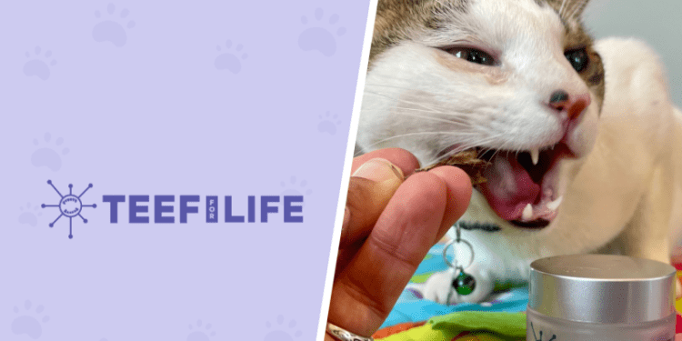 TEEF for Life Protektin30™ Review 2024: Our Hands-On Experience