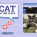 Catster Photo Contest: Cats of the Week Winners (December 5, 2024)