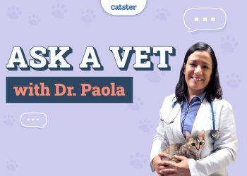 Ask Dr. Paola – Monday December 9, 2024