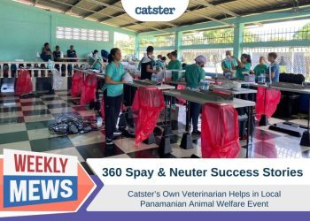 360 Spay Neuter Success Story: Dr. Paola Helps in Panama