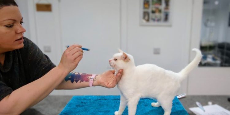 How to Do A Health Check At Home: Dr. Karyn’s Detailed Guide