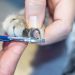 How to Trim Cat Nails at Home: Vet-Approved Steps, Tips, & Advice