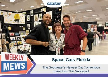 Space Cats Florida: The Southeast’s Newest Cat Convention Launches This Weekend