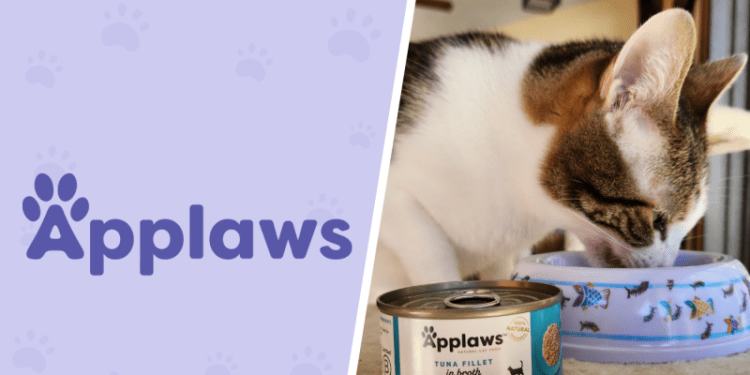 Applaws Limited Ingredient Wet Cat Food Review 2025: How I Supplemented My Cats Diet