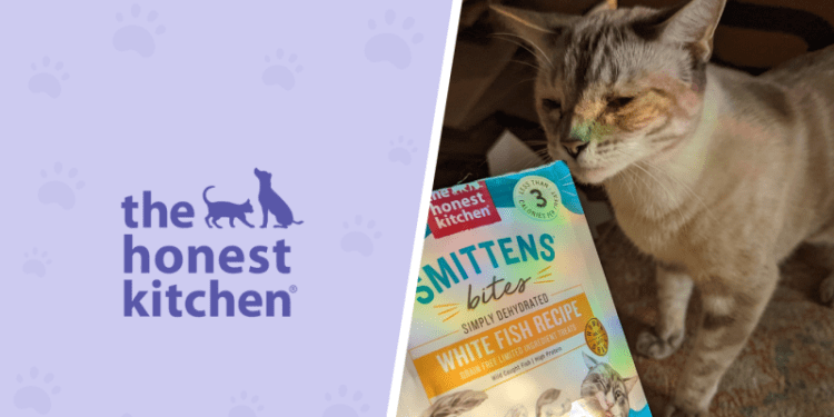 The Honest Kitchen Cat Food Review in 2025: Pros, Cons, Final Verdict