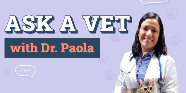 Ask Dr. Paola – Monday February 3, 2025