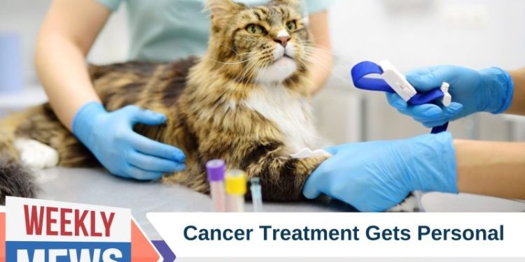 Artificial Intelligence Takes on Feline Cancer: How New Technology Is Helping Treat Common Cat Cancers