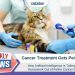 Artificial Intelligence Takes on Feline Cancer: How New Technology Is Helping Treat Common Cat Cancers