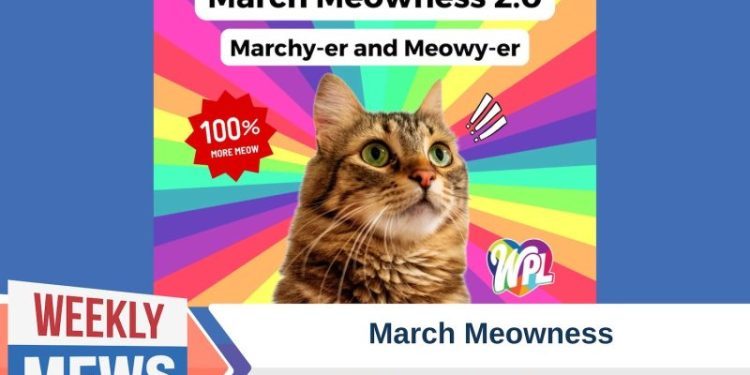 March Meowness – Redefining Library Engagement in Massachusetts
