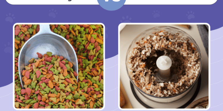 Store Bought vs Homemade Cat Food: Vet-Reviewed Pros, Cons & FAQ