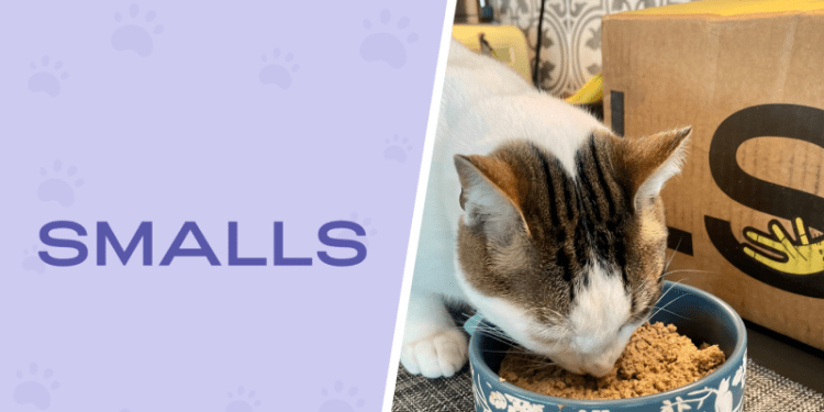 Smalls Cat Food Review 2025: Pros, Cons & Final Verdict