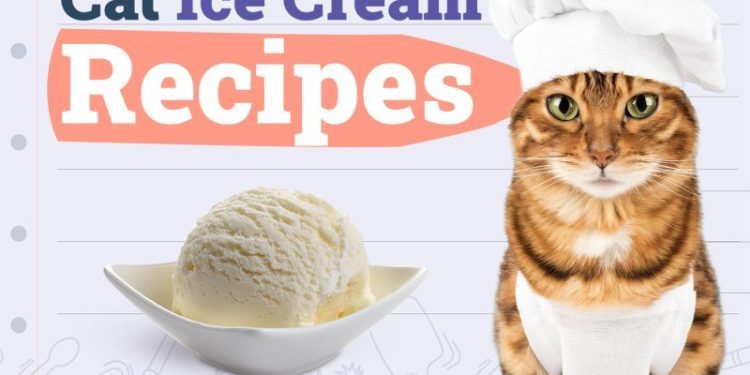 5 Homemade Cat Ice Cream Recipes (Vet-Approved)