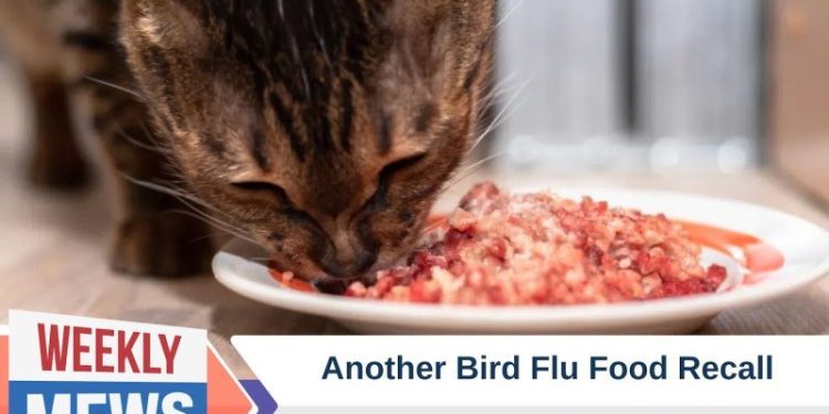 Another Bird Flu Food Recall – Is Raw Feeding Putting Your Cat’s Life At Risk?