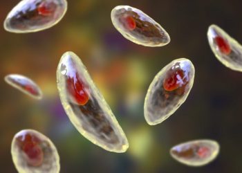 Toxoplasmosis In Dogs: Symptoms, Causes, & Treatments