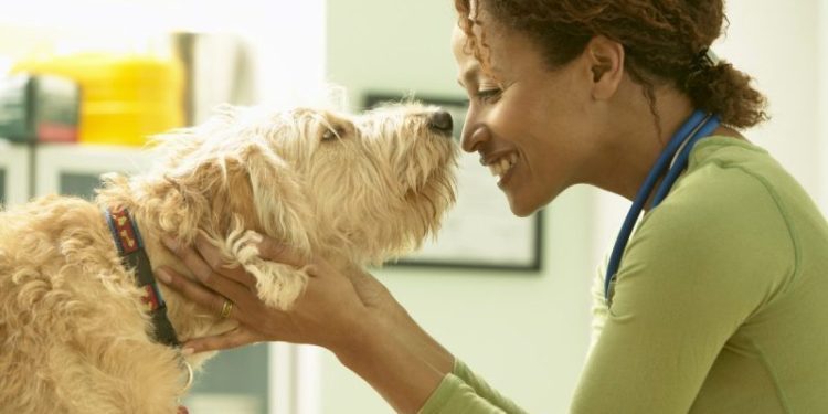 Esomeprazole For Dogs: Uses, Dosage, & Side Effects