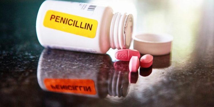 Penicillin for Dogs: Uses, Dosage, & Side Effects