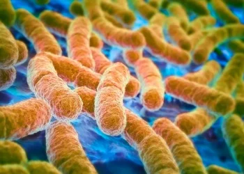 E. Coli Infection In Dogs: Symptoms, Causes, & Treatments