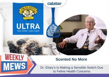Scented No More: Dr Elsey’s Cat Litter Makes a Sensible Switch