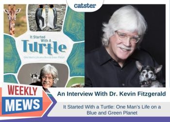An Interview with Dr Kevin Fitzgerald – “It All Started With A Turtle” (with Video)