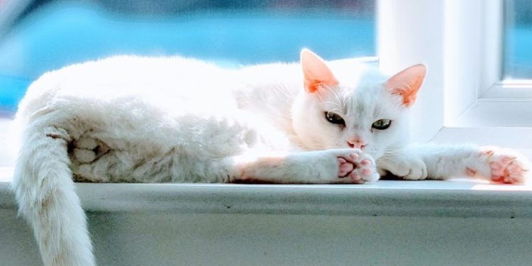 You Want To Know What??? Answering Our Readers’ Strangest Questions