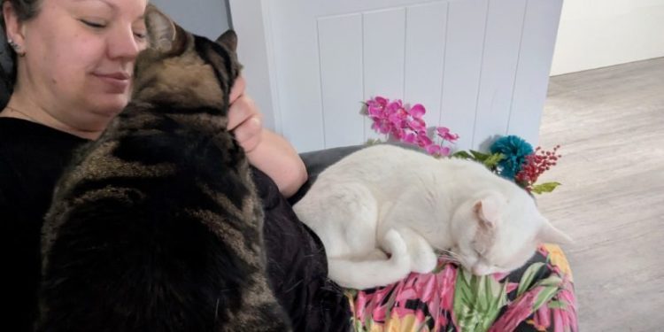 What Cat Paralysis?! Dr. Karyn’s Lap Lovers