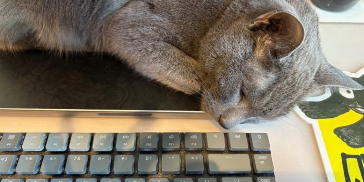 The Strange Case of Dr Jekyll and Mr Raphael