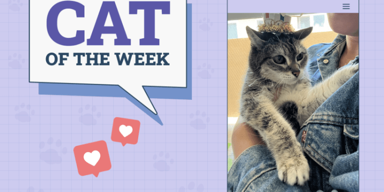 Catster Photo Contest: Cats of the Week Winners (May 08, 2025)
