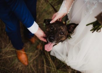 Virginia Couple Reschedules Wedding To Adopt Puppy